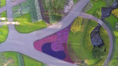 6 of the most beautiful gardens filmed by drones