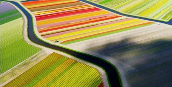 Beautiful aerial photo of Hollands Tulip fields