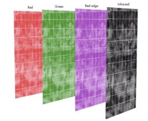 Multispectral Imaging Wavebands of Red, Green, Red Edge and Infrared