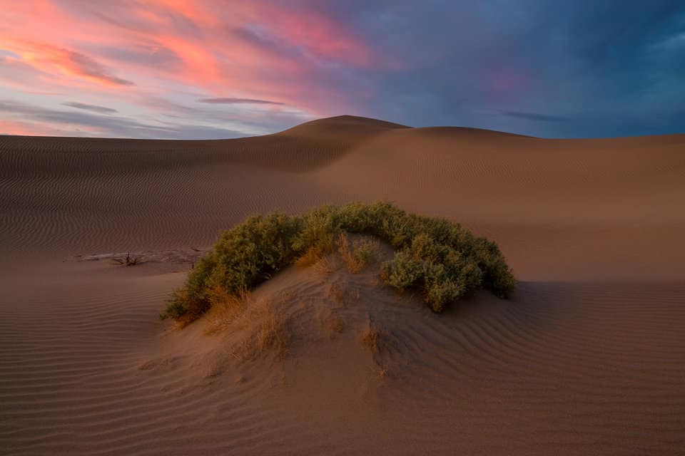 Hyperfocal Distance Sunset Mesquite Dunes Landscape