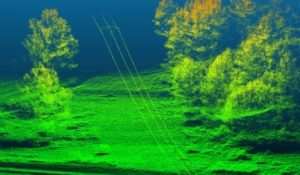 Lidar Sensor Images From UAV of Power Lines And Forest Canopy